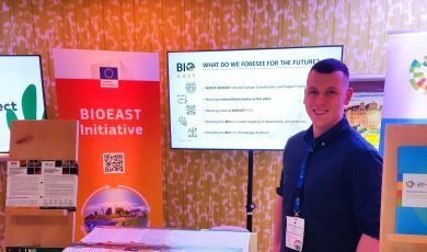 Παλαιορούτης Νικόλαος